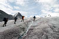 Горный Алтай : Ледники и озера Южно-Чуйского хребта (лето 2007) : Софийский ледник.