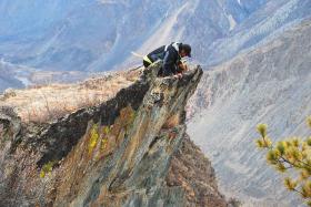 Горный Алтай : Улаганский район : Перевал Кату-Ярык : «Красота неОПИСУЕМАЯ!» - сказал я. - «Легко! - подумал пёс» 