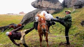 Горный Алтай : Кош-Агачский район : Плато Укок : «Грузоперевозки «КОНЯМИ ®» Бережная упаковка, скорость 8 км/час...» 