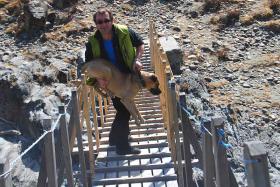 Горный Алтай : Чемал : «Парня в горы тяни - рискни, Не бросай одного его...» 