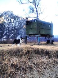 Горный Алтай : Улаганский район : «Избушка на курьих ножках :)» 