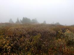 Горный Алтай : «Страна озёр». Дневник начинающего туриста : Дорога с облаками