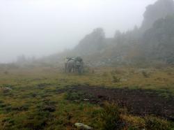 Горный Алтай : «Страна озёр». Дневник начинающего туриста : Здесь можно было бы увидеть Белуху...