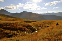 Горный Алтай : «Страна озёр». Дневник начинающего туриста : Болотистое, но красивое место у ручья