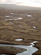 Горный Алтай : Экспедиция на плато Укок : Степь, испещренная реками и ручьями