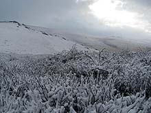 Горный Алтай : Экспедиция на плато Укок : Снежное утро