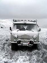 Горный Алтай : Экспедиция на плато Укок : Кузя в снегу