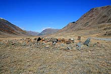 Горный Алтай : Экспедиция на плато Укок : Древние курганы