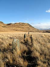 Горный Алтай : Экспедиция на плато Укок : Цепь каменных стел-балбалов