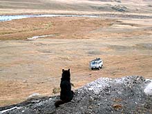 Горный Алтай : Экспедиция на плато Укок : Река Ак-Алаха