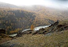 Горный Алтай : Экспедиция на плато Укок : р. Ак-Алаха