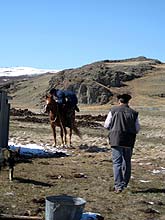 Горный Алтай : Экспедиция на плато Укок : Утро