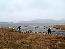 Горный Алтай : Экспедиция на плато Укок, сетнябрь 2008