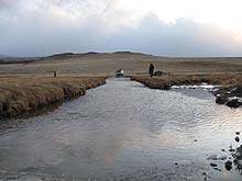 Горный Алтай : Экспедиция на плато Укок : Верховые болота