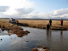 Горный Алтай : Экспедиция на плато Укок : Поиски брода