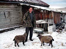 Горный Алтай : Экспедиция на плато Укок :