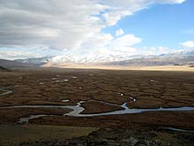 Горный Алтай : Экспедиция на плато Укок в сентябре 2008
