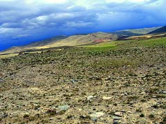 Конный поход на плато Укок : В Чуйской степи
