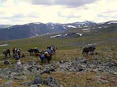 Конный поход на плато Укок : На перевале Кара-Булак