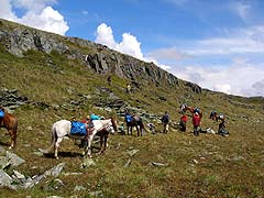 Конный поход на плато Укок : В котловине теплее, чем на высоте