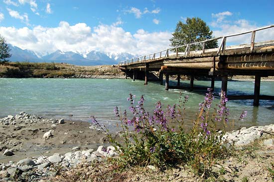 Мост через Чую возле Курая