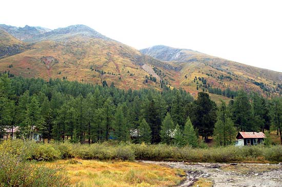 Долина реки Актру