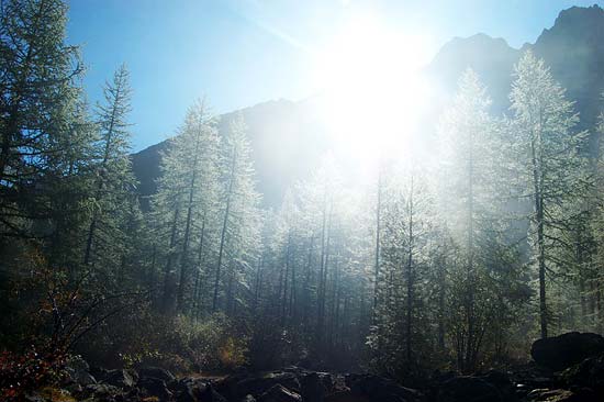 Туман в долине Актру