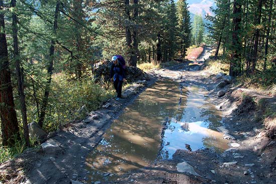 Дорога от перевалки к альплагерю Актру.