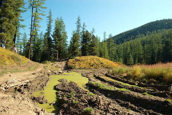 Дорога от перевалки к альплагерю Актру