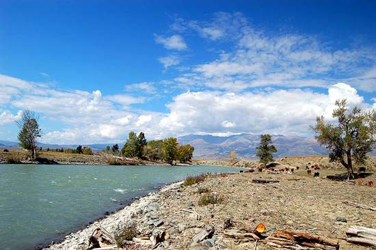 Река Чуя возле моста недалеко от Курая