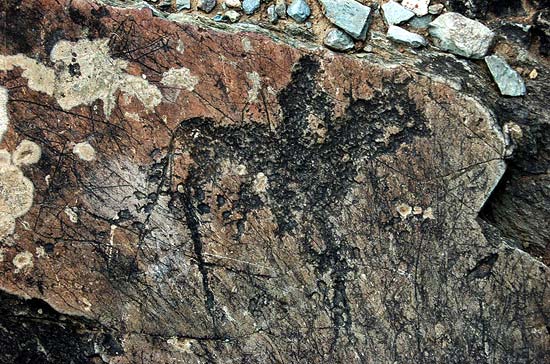 Петроглифы в Чуй-Оозы