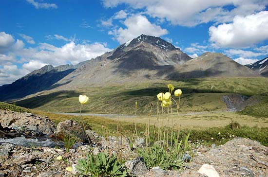 Долина реки Караоюк. Джаниикту 3922 м