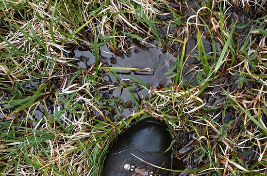 Долина реки Караоюк