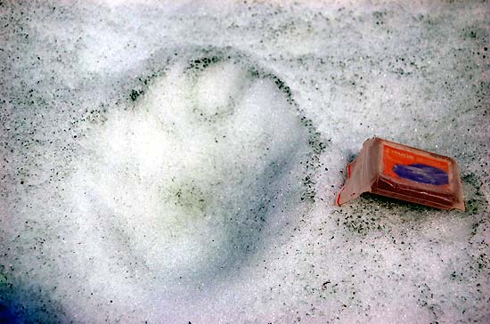 Перевал Ленинградский 3300 м (1Б). Следы барса?