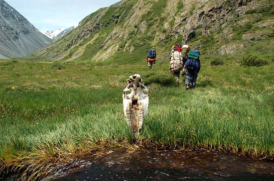 Долина реки Аккол.