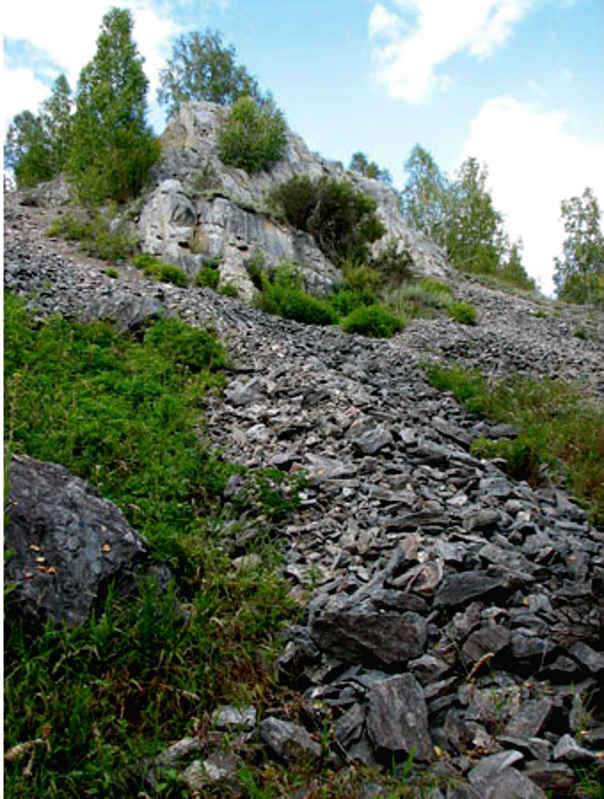 Барсуковая сопка