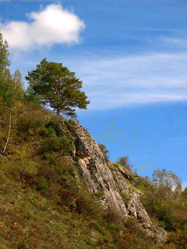 Барсуковая сопка