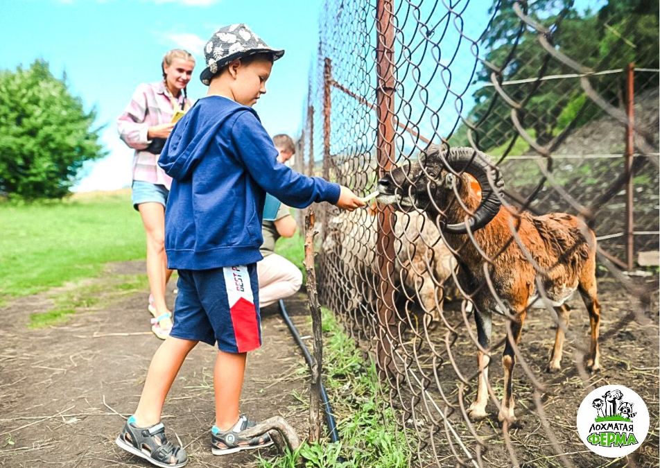 Лохматая ферма