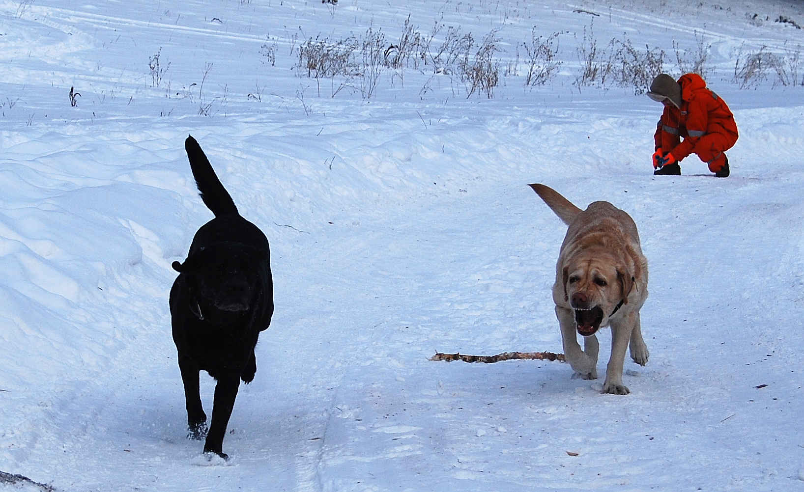 «В гробу я видала пешие туры! Не-ет! - только авто!»