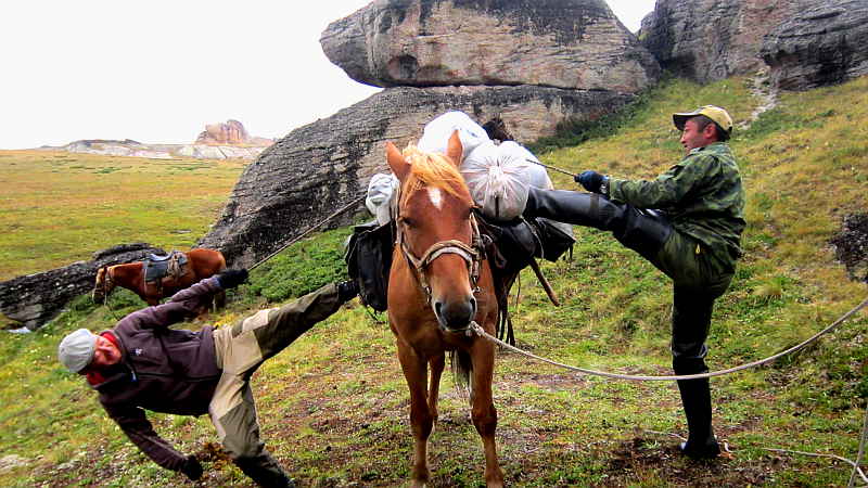 «Грузоперевозки «КОНЯМИ ®» Бережная упаковка, скорость 8 км/час...»