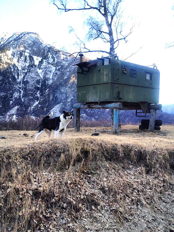 Избушка на курьих ножках :)