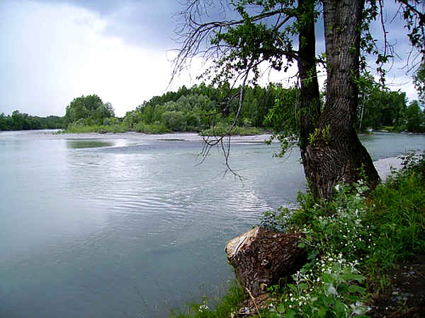 Катунь в Советском районе