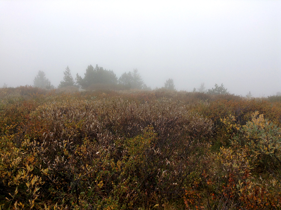 Дорога с облаками