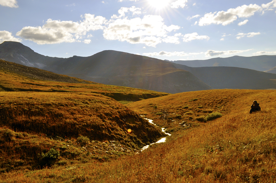 Болотистое, но красивое место у ручья
