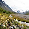 Горный Алтай : Ледники и озера Южно-Чуйского хребта (лето 2007) : Долина реки Талдура