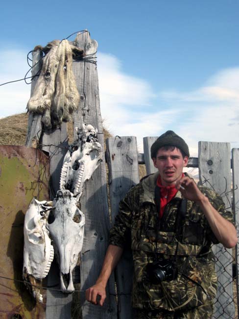 Черепа лошадей