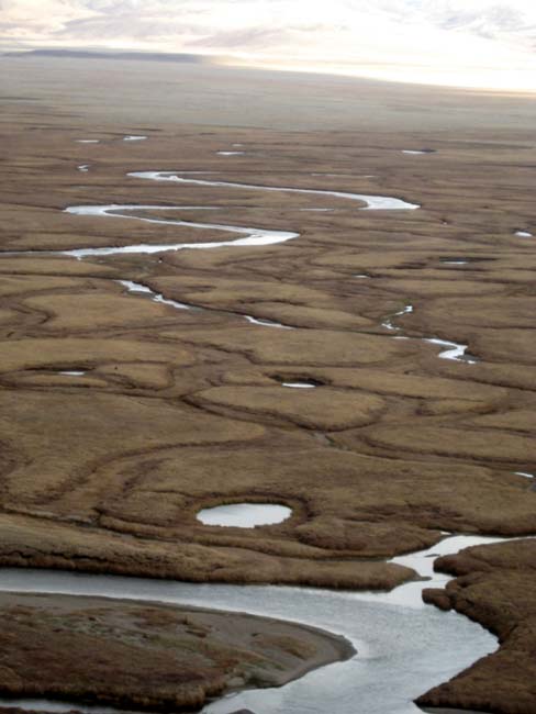Степь, испещренная реками и ручьями