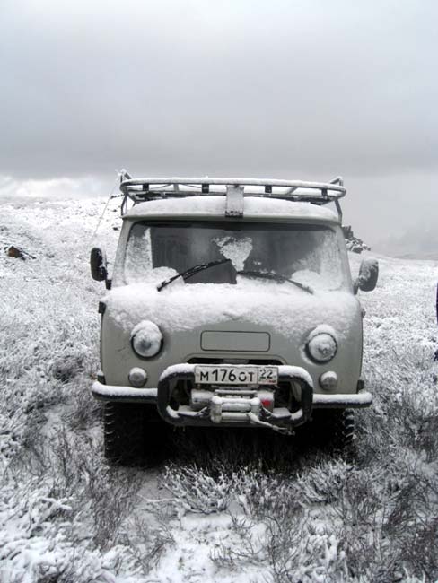 Кузя в снегу