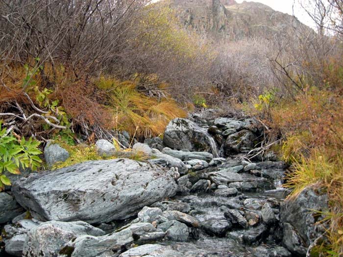 Приток Ак-Алахи