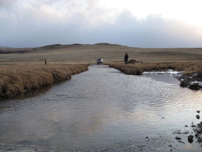 Верховые болота